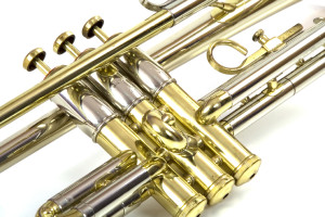 Trumpet Music Education Consultant