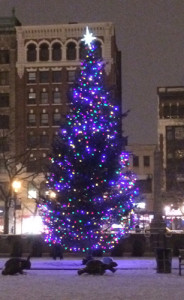 Copley Plaza Lighted Tree