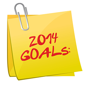 2014 Goals
